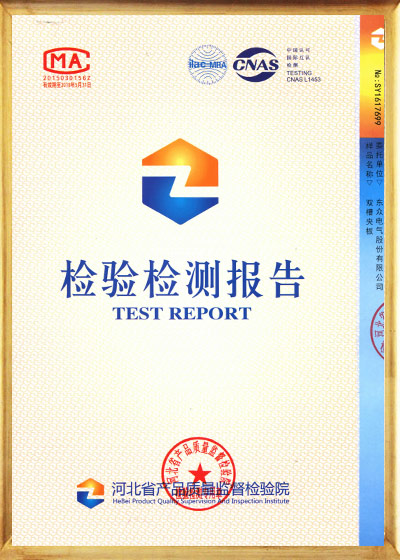 Test Report