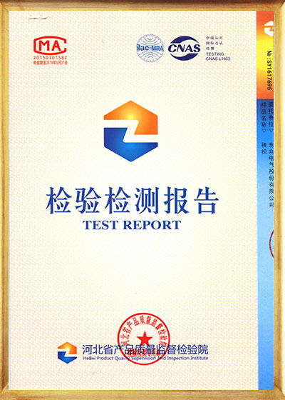 Test Report