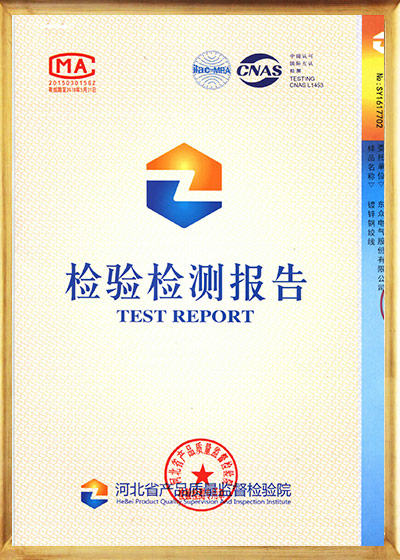 Test Report